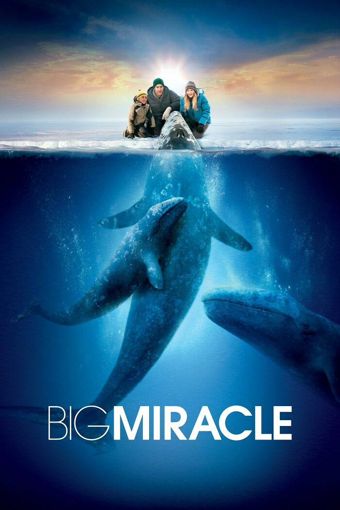  Big Miracle
