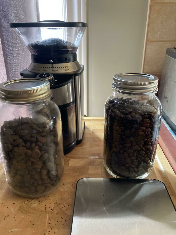My Wife Likes To Keep Dog Food Beside Coffee Beans. Guess What I Did At 5:30 Am This Morning