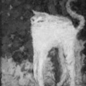 monochromelife avatar