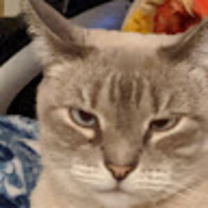 kelleyrichardson avatar