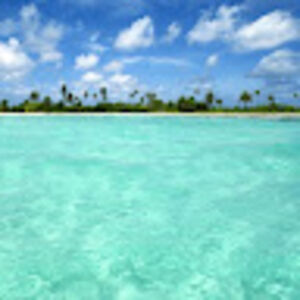 janicaannebanker avatar