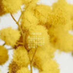 julie-annebrett avatar