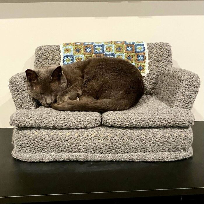 Almost Two Years After I Made It, My Cat Is Finally Using His Couch