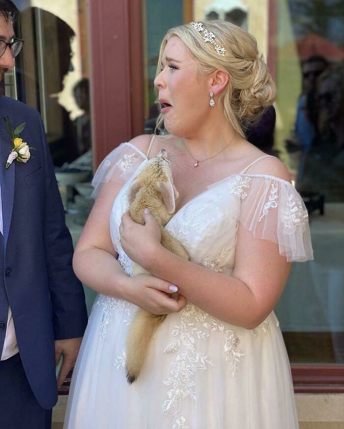 Tuve mis dudas cuando mi marido quiso que tengamos un zoológico en nuestra boda 