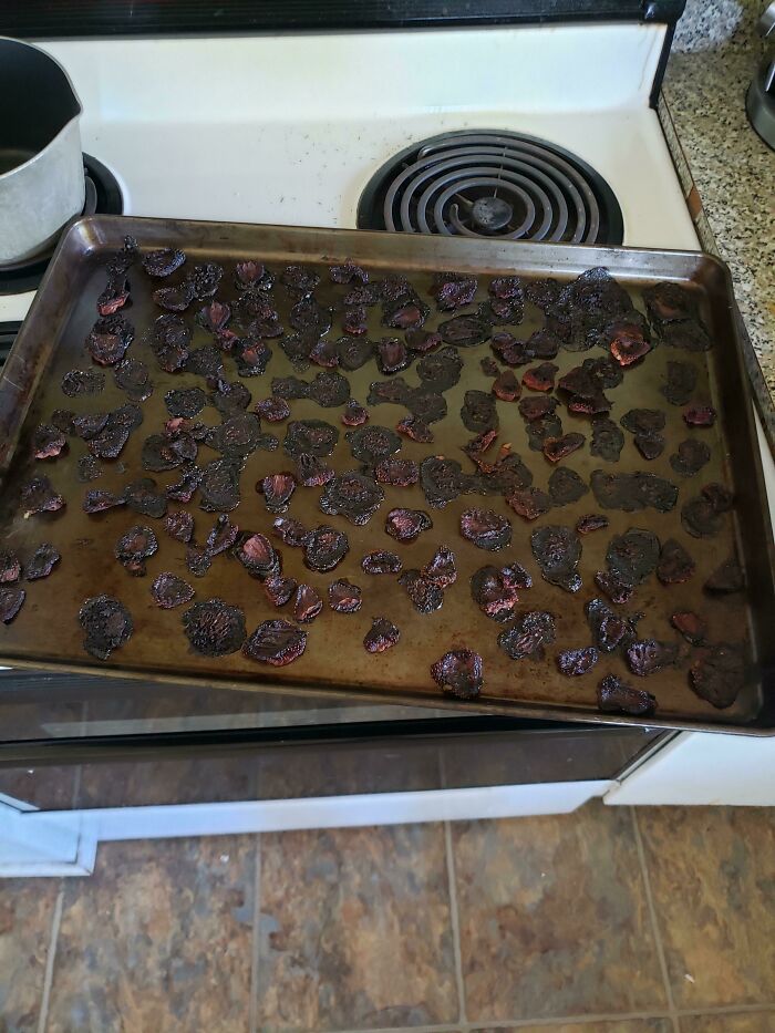 Intenté hacer esta cosa que vi en Instagram en la que se deshidratan fresas en el horno y "saben a Twizzlers"... Lo logré