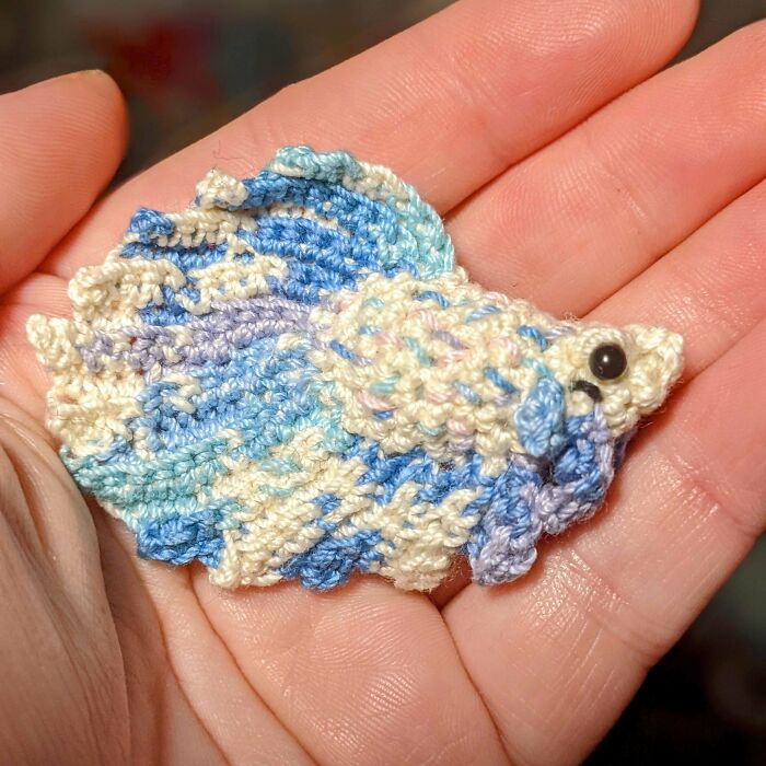 I Crocheted My Betta Fish, Moonbeam