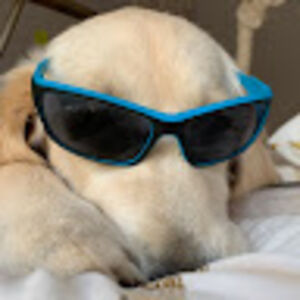 savannabutler avatar