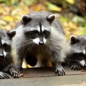 therealkiley89 avatar