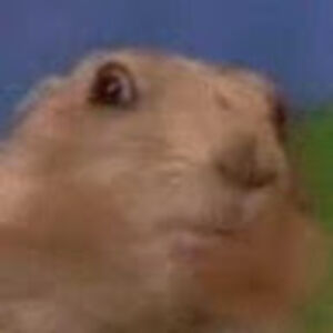 michaelthomson_1 avatar