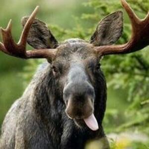 waywardsunfarm avatar