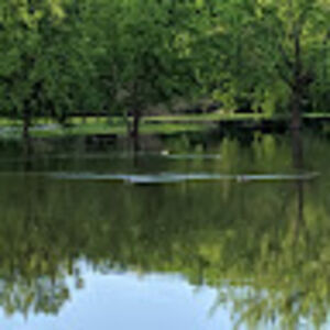 staceynookster avatar