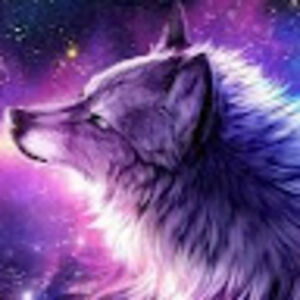 samridhinepal avatar