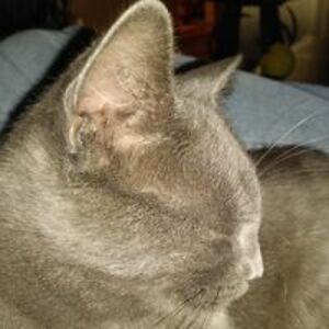 fred_ingram2000 avatar