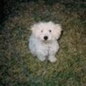 michaelgiblin_1 avatar