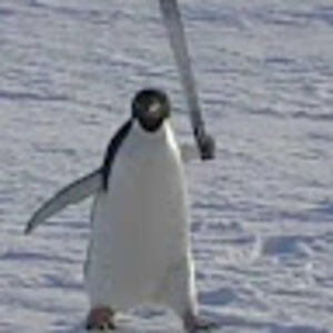 misfithoboclown avatar