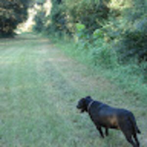 2einhard2melarky9 avatar