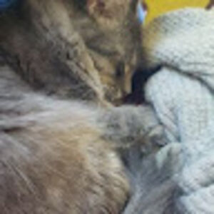 betianazavala avatar