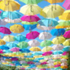 janblankenship avatar