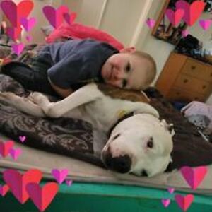 crystalswallace576iamme avatar