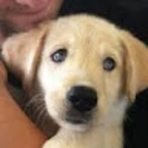 landonsoisoongnoen avatar