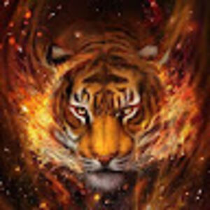 chillburtlarouche avatar