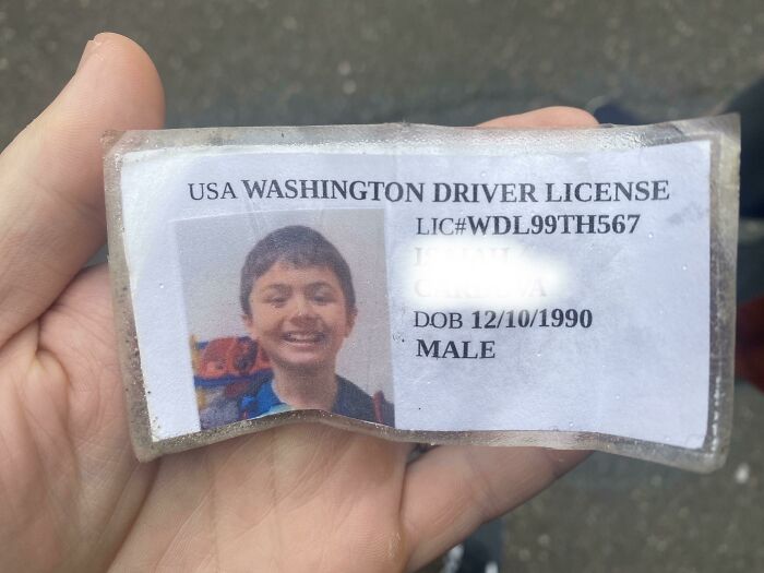 People Don't Usually Like Their ID Pics, But These 35 Are Hilarity On Another Level