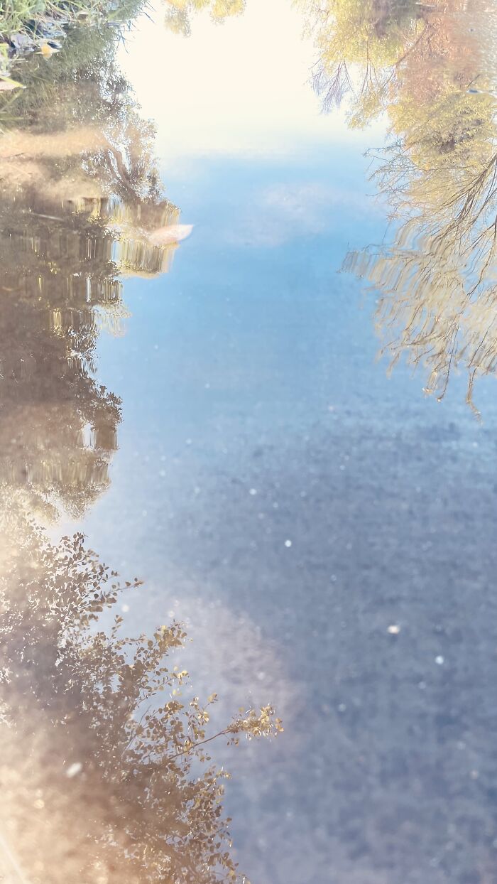 New Pictures That I Took (37 Pics)