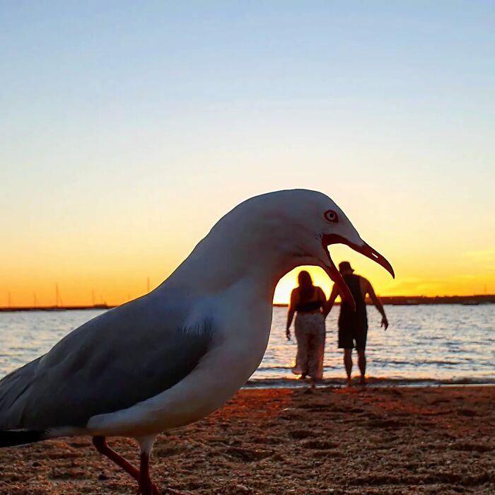 Me encanta una buena foto del atardecer