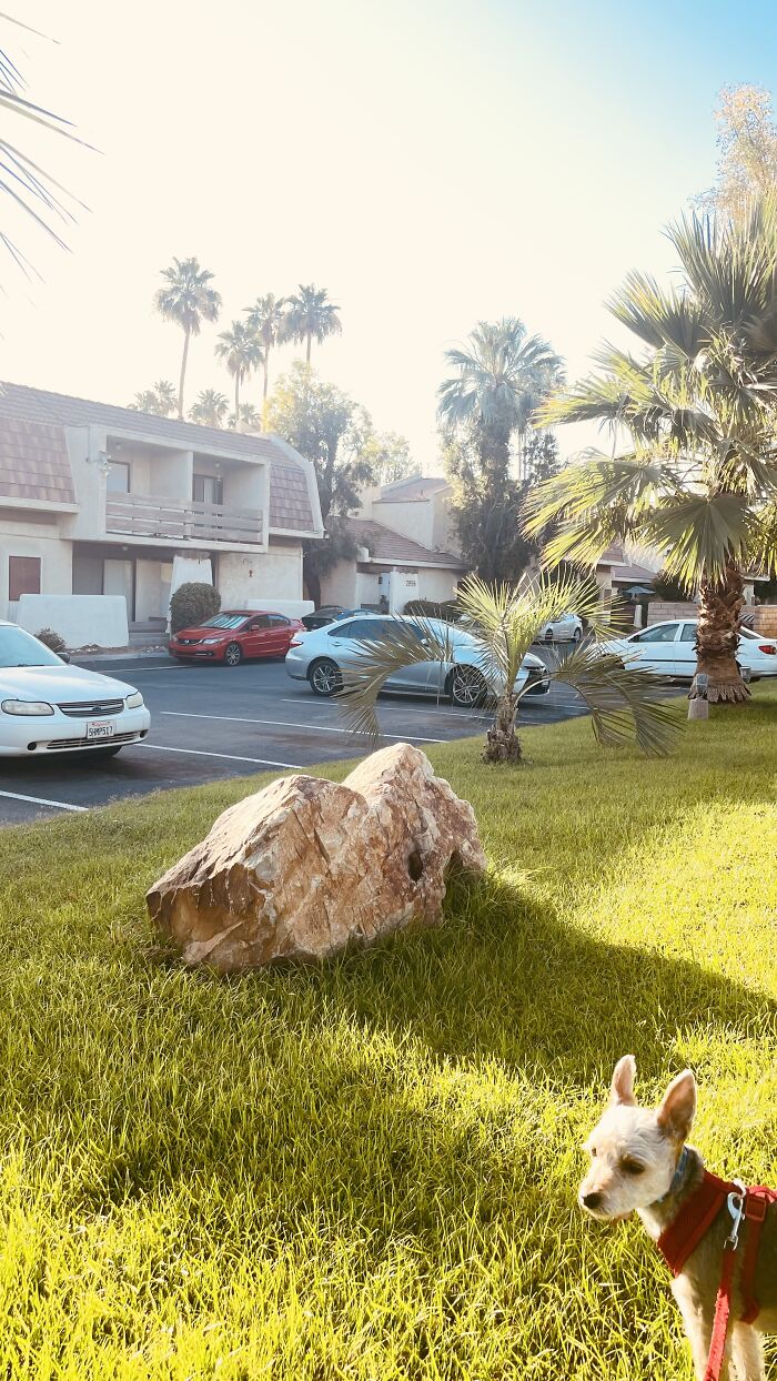 New Pictures That I Took (37 Pics)