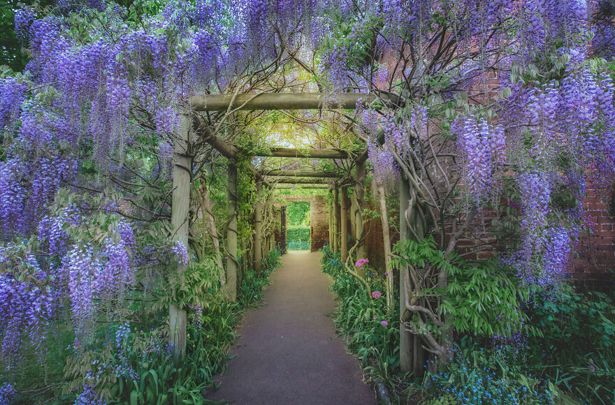 23 Reasons Why You Should Visit London During Spring
