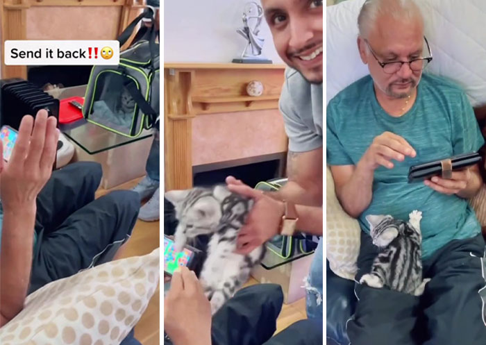 Dad Who Dislikes Cats Became Obsessed With The One His Son Brought Home, Now They’re Inseparable Dad Who Dislikes Cats Became Obsessed With The One His Son Brought Home, Now They’re Inseparable