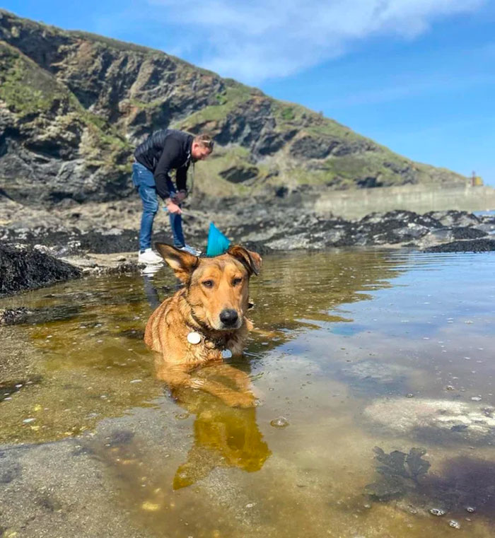 My Dog With Her Party Hat Or Me Rock Pooling Like A Moron?