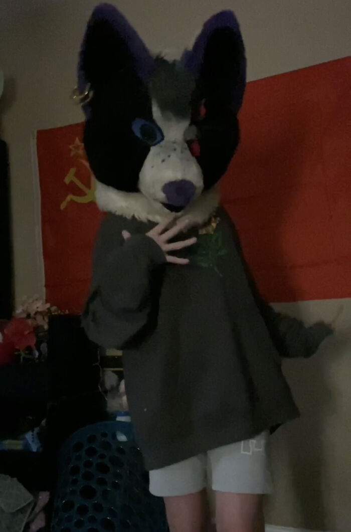 Having Fursuits, I Actually Get Bullied Because Of This (This Is Saturn)