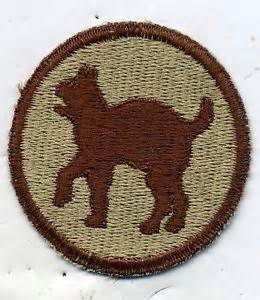 81st_Regional_Readiness_Command_Wildcat_desert_shoulder_patch1-627e87513a2c7.jpg