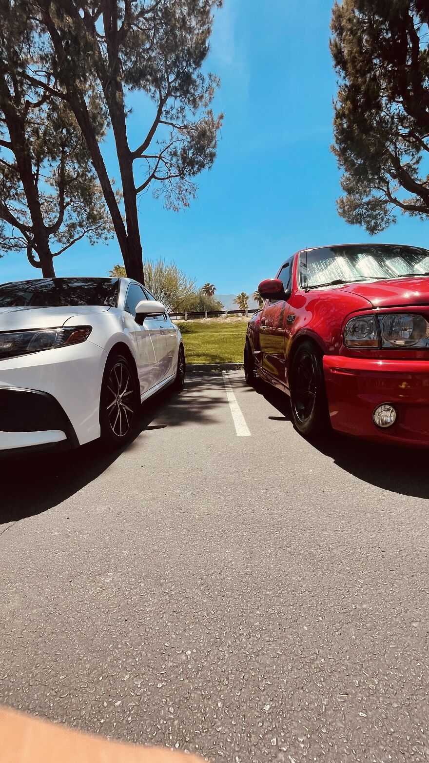 Here Are My First Published Images (40 Pics)