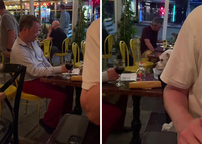 3.8M People Have Adored This Video Of Man Having The Sweetest Dinner Date With His Dog 3.8M People Have Adored This Video Of Man Having The Sweetest Dinner Date With His Dog