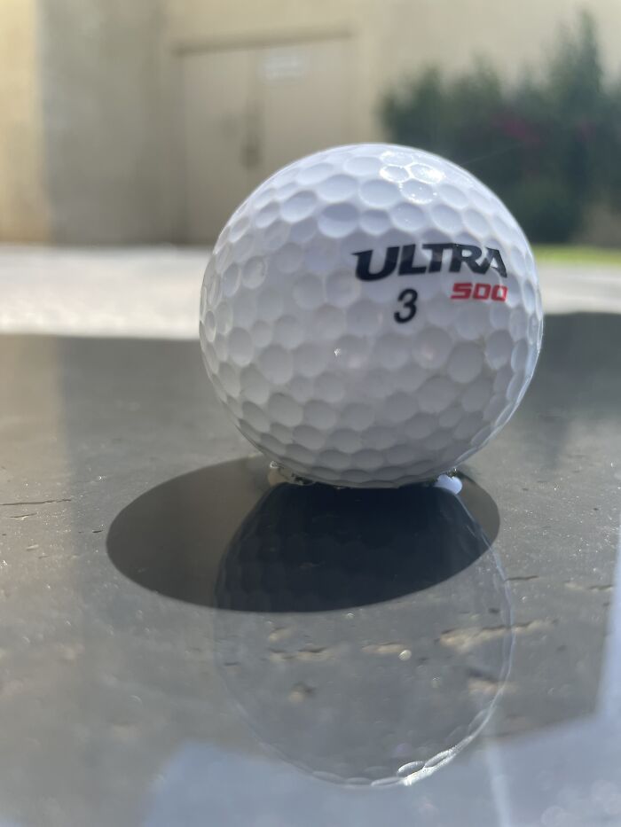 New Pictures That I Took (37 Pics)