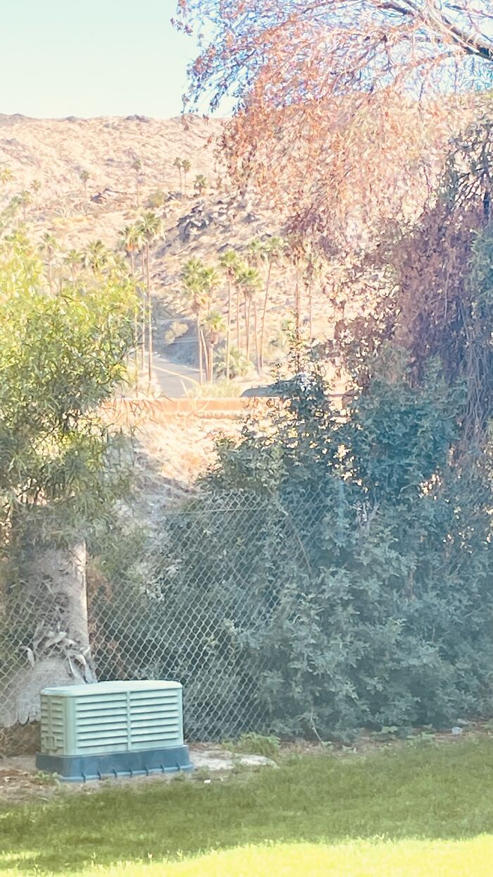 New Pictures That I Took (37 Pics)