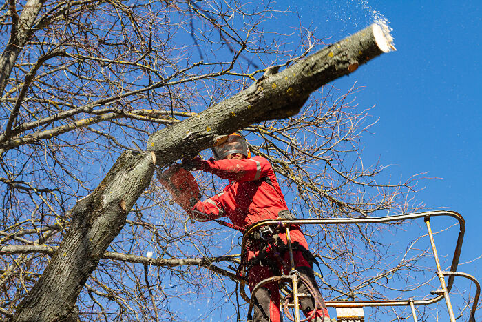A Photographer Working At An Altitude (36 Pics)