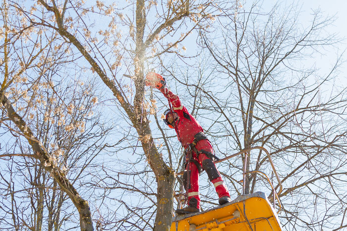 A Photographer Working At An Altitude (36 Pics)