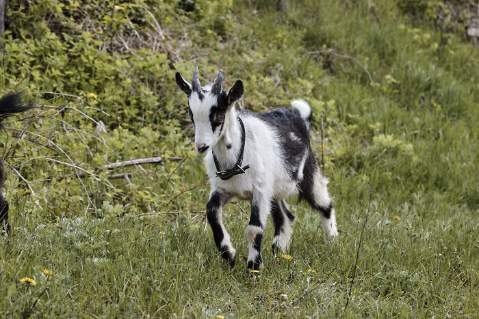 A Photographer Working At An Altitude (36 Pics)