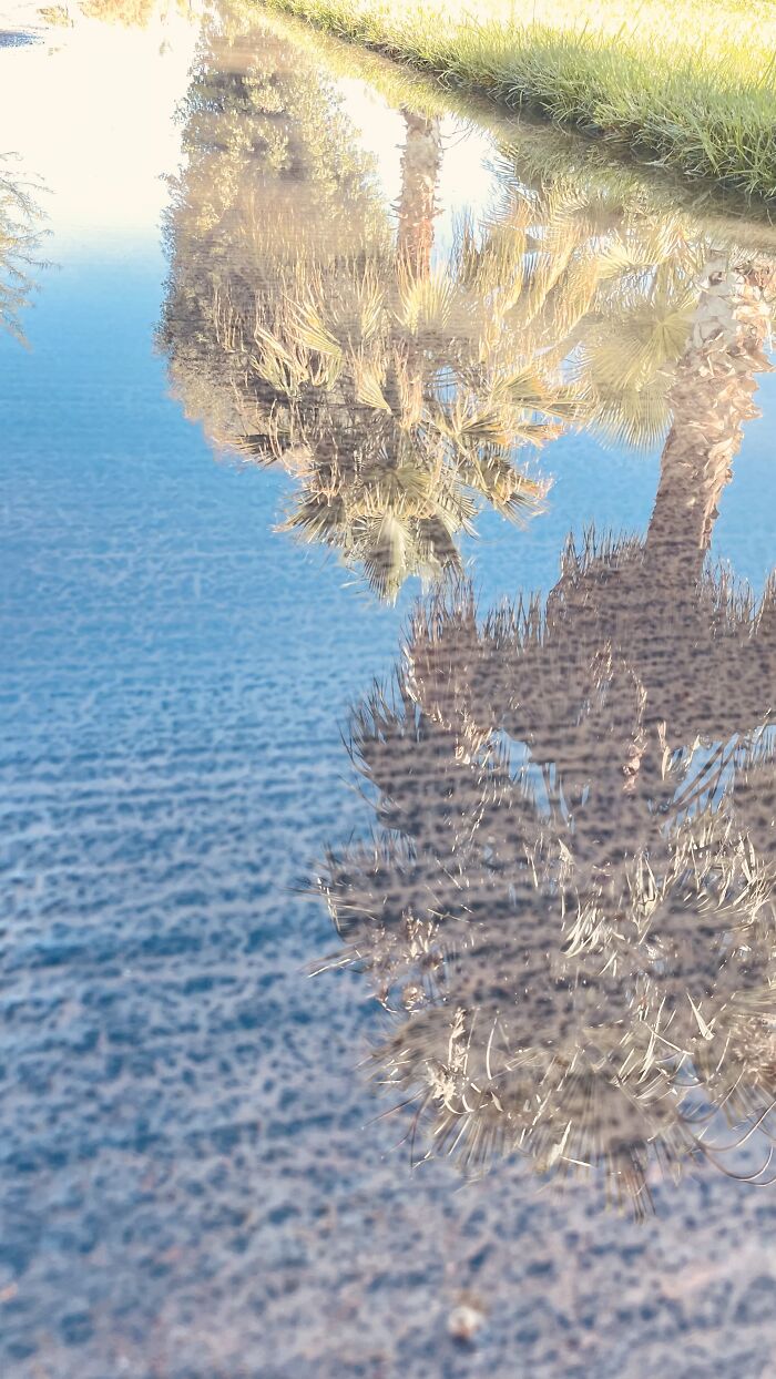 New Pictures That I Took (37 Pics)