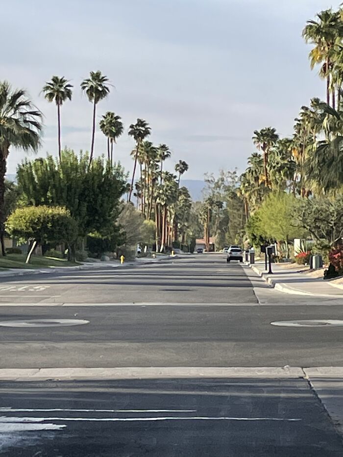 New Pictures That I Took (37 Pics)