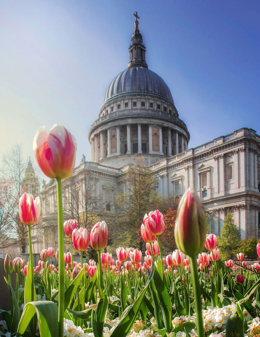 23 Reasons Why You Should Visit London During Spring