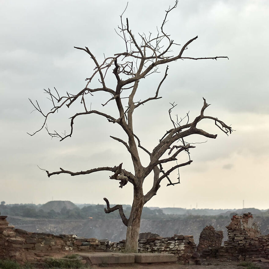 Black Diamond By Sebastian Sardi