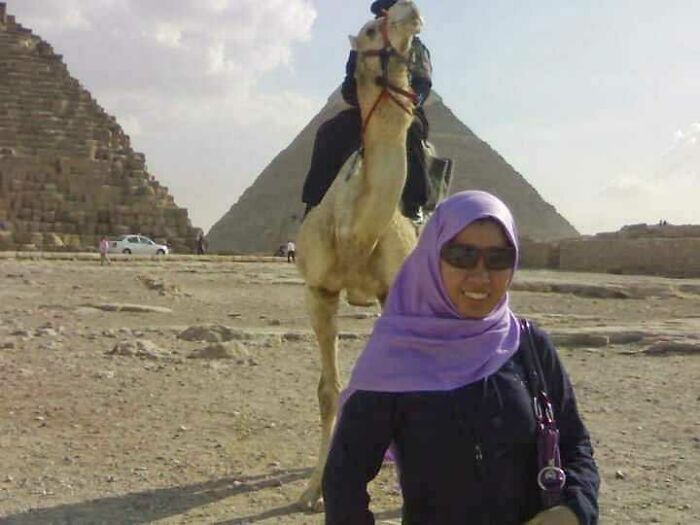 When You Visit To See The Great Pyramid Of Giza And Catch That Perfect Moment, But A Big Camel Is Blocking The Way