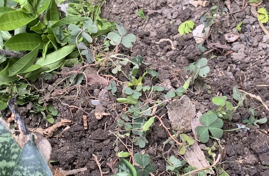 Rest In Peace, Wales. Rest In Peace, Wales.