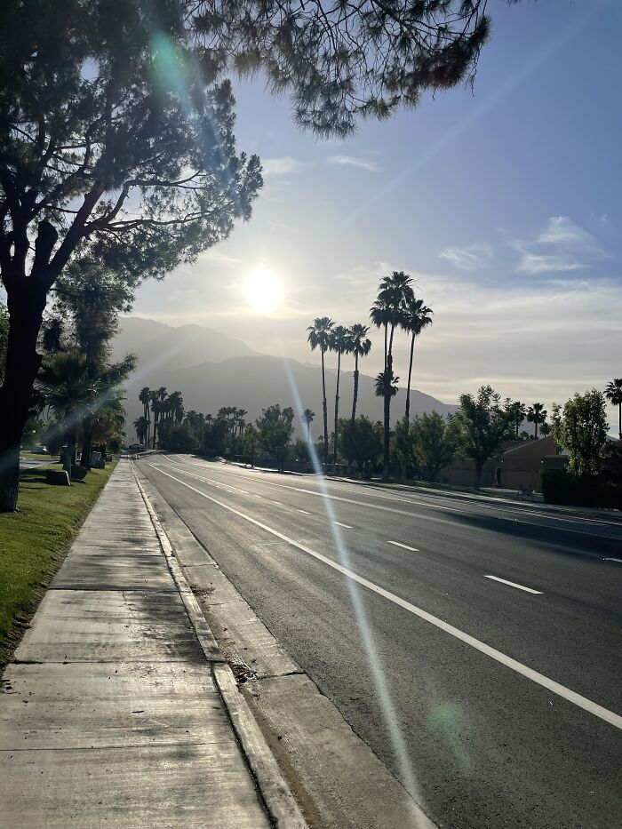 New Pictures That I Took (37 Pics)