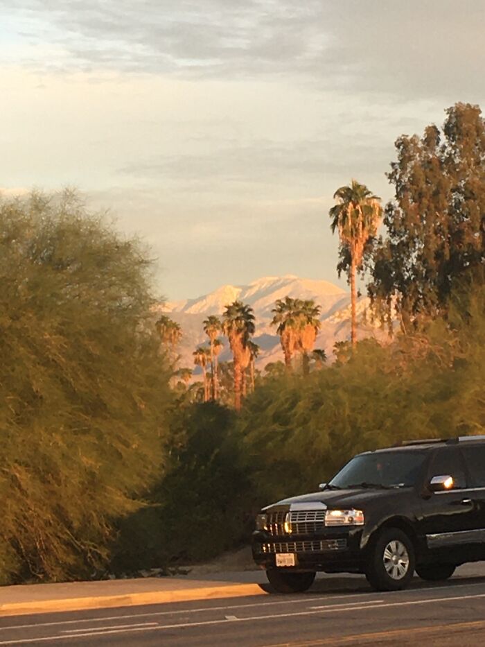 New Pictures That I Took (37 Pics)