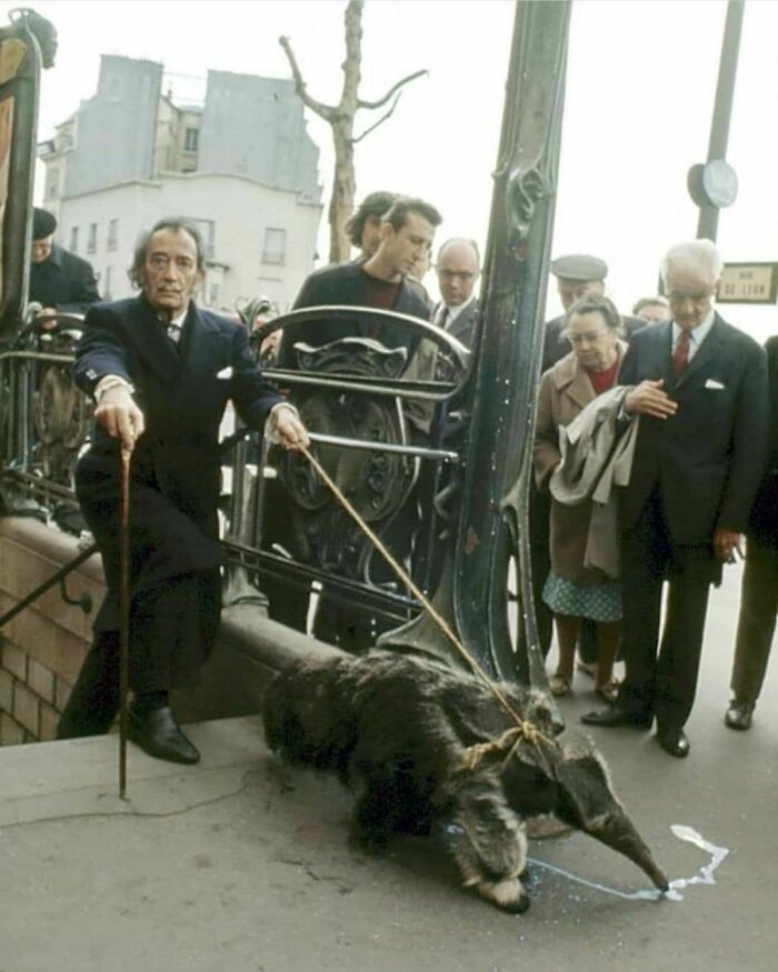 Salvador Dali Walking An Anteater. Paris, 1969